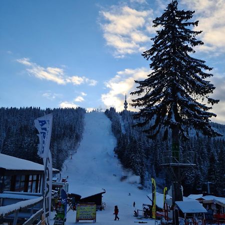 Студиа Студенец Smolyan Luaran gambar
